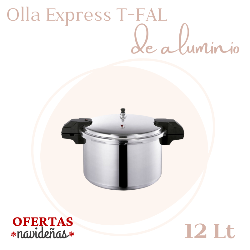 OLLA EXPRESS T-FAL YL307LA