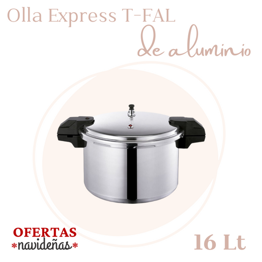 OLLA EXPRESS T-FAL YL307LA