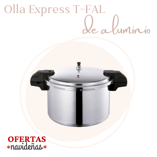 OLLA EXPRESS T-FAL YL307LA